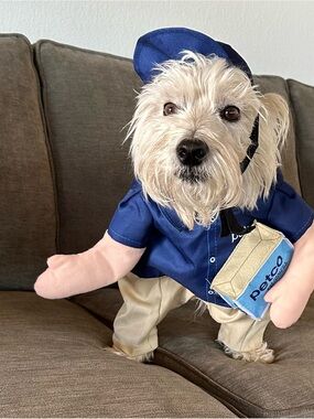 Navy Blue Delivery Costume for Dogs - Novelty Pet Outfit